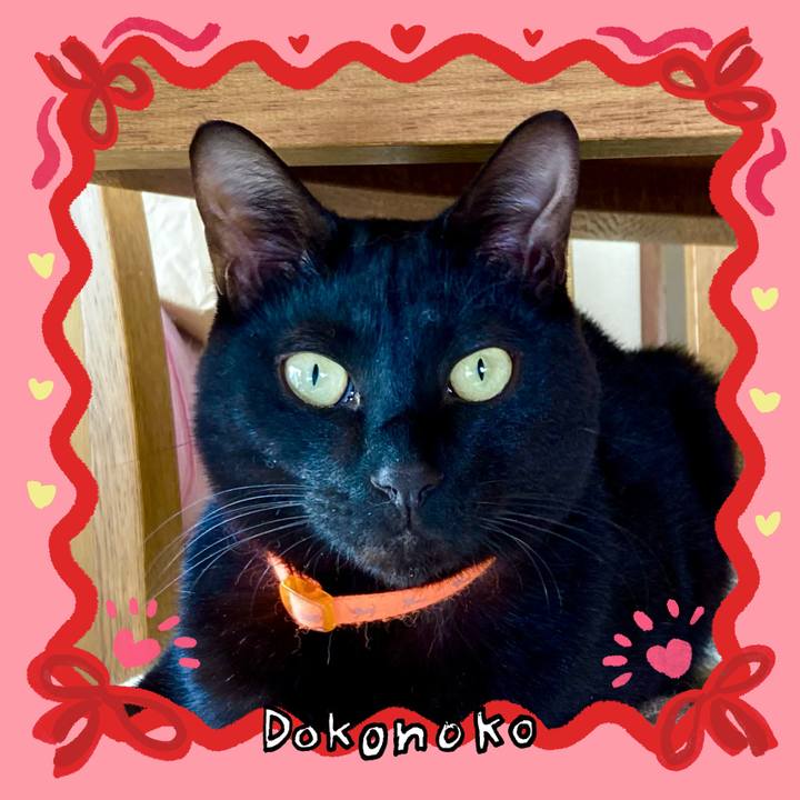 8d40666a 0863 46db a12e ff7c55bfbf4e 1707117540738