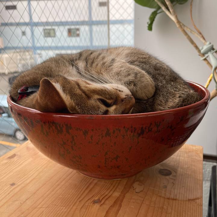 8d406d76 200b 47ad b1c7 7eb0ebbeea16 1719898219189