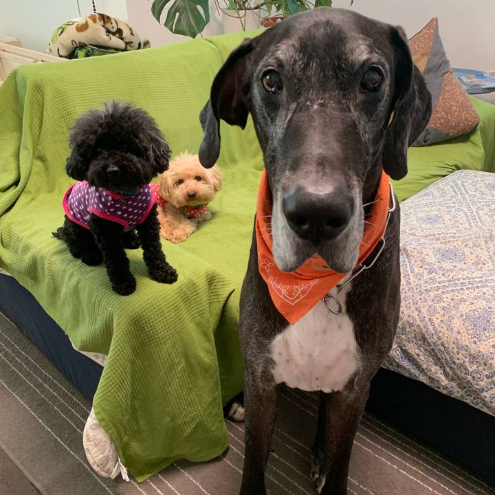 8d40766e 616f 4147 bf54 97e15cacdaff 1564957466234