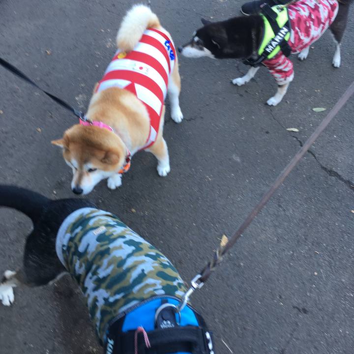 8d40892a f82e 41ae 9390 db3263546ae0 1573915521416