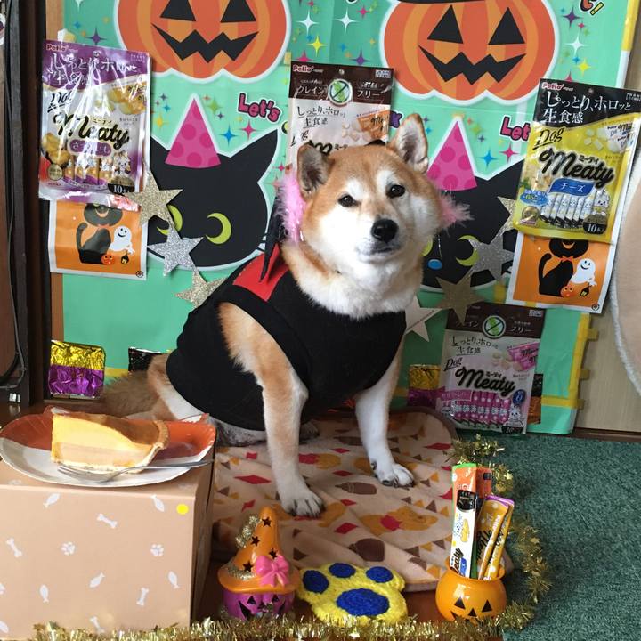 8d40b12e 1fcc 4ec7 b2d2 c18e3bffc75b 1635642504084