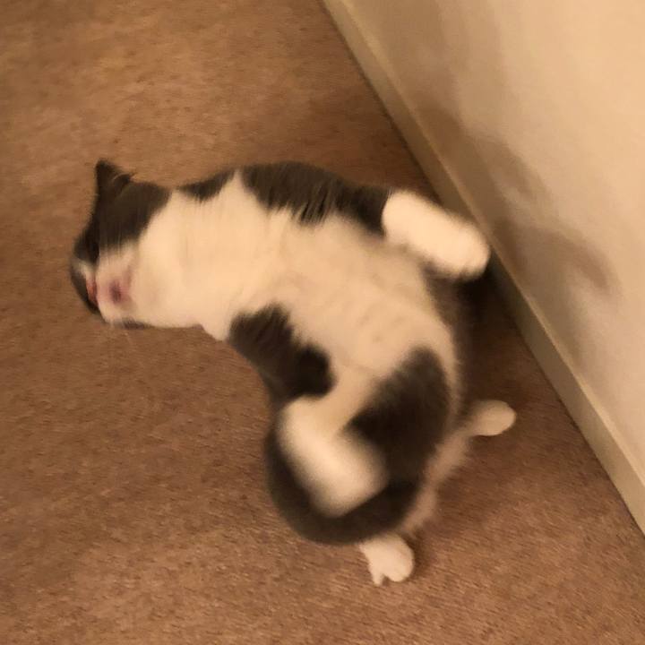 8d40c440 c675 4dbe a42c 85f58a25357b 1537878867653