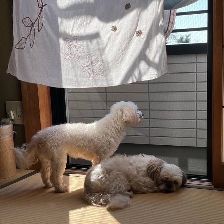 8d40d016 eb92 44da b8b4 bac11317d84b 1728870681038