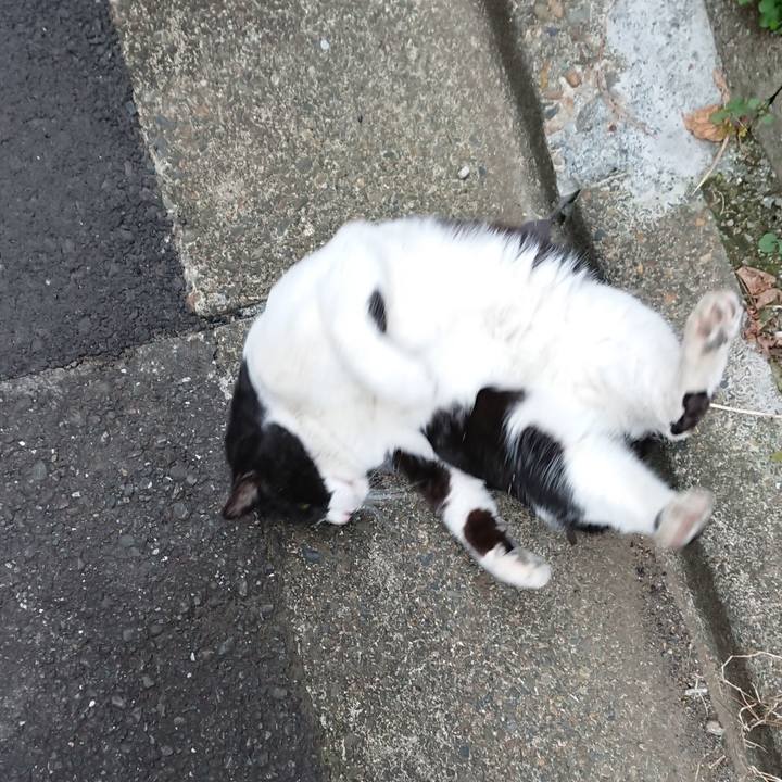 8d40d4f9 4313 4fe3 beeb e6a76876b1de 1550013943735