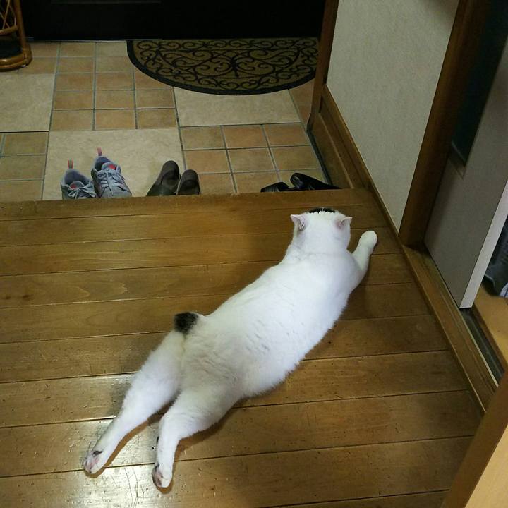 8d40eeaf e3f4 4d9b aee2 9071e6df353d 1507636999738