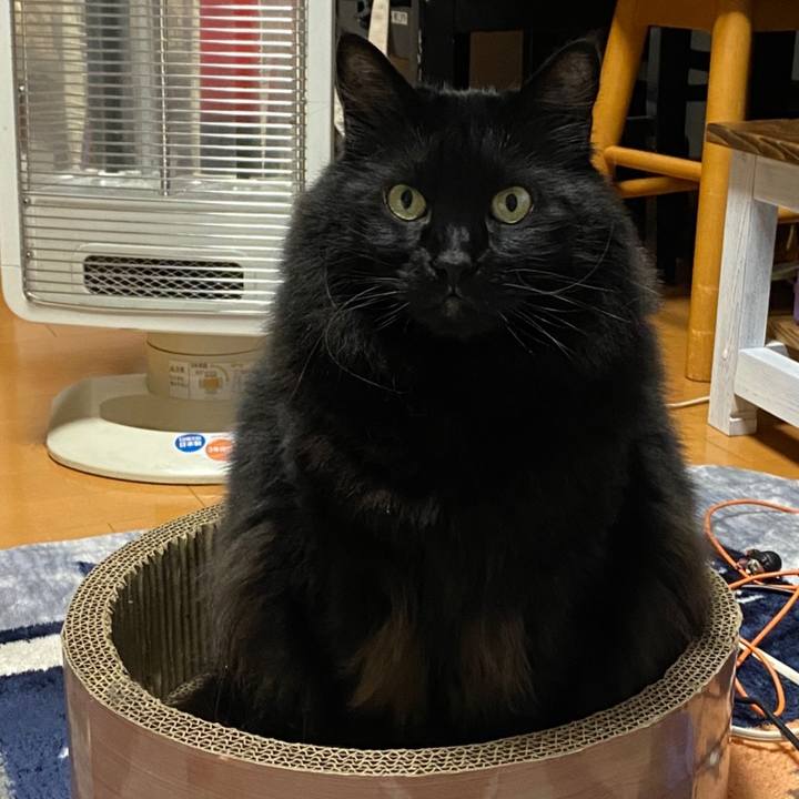 8d40f0d5 ff0a 4b13 9028 9bedc19cb35b 1608039136125