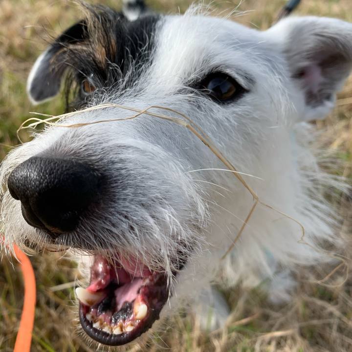 8d410130 24f8 428f b16b 06cfeda0a2b0 1635122120710