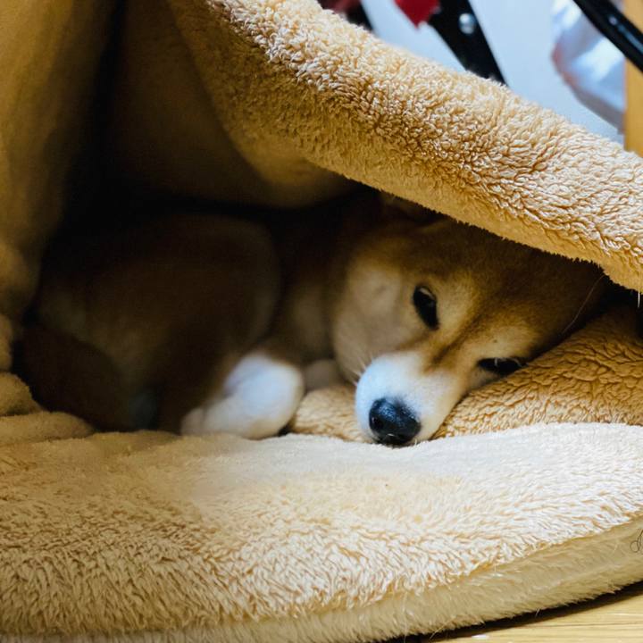 8d410332 34c8 470f 9e8d 1b1705fc8fb6 1592922430211