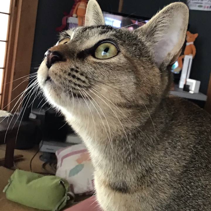 8d412d1b 6ea0 4773 a9d7 a97b43a2daa8 1576890459129