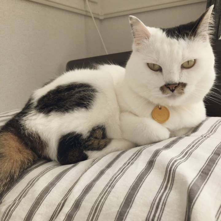 8d414f85 54fe 474c b329 40623fc2323b 1560570146384