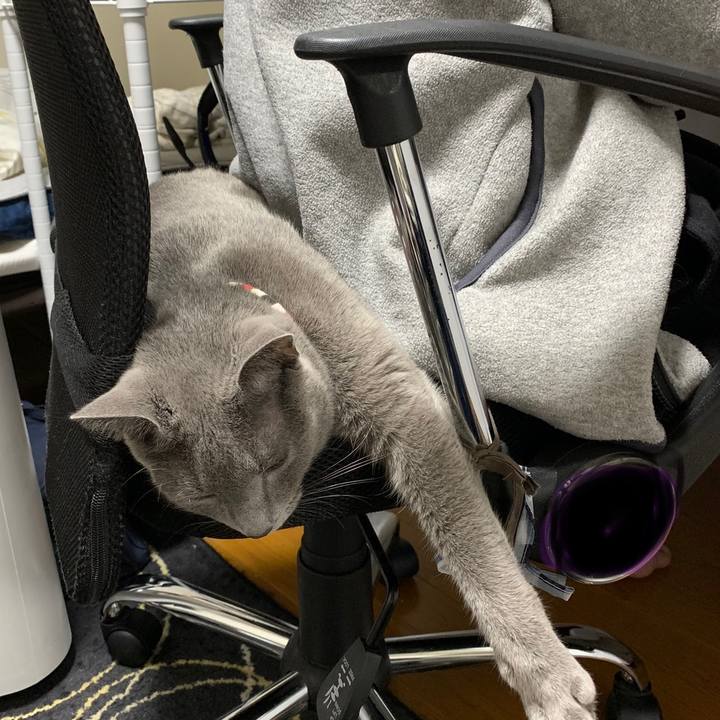 8d416030 bc80 4455 be78 c420fcc6a1ad 1607849182561