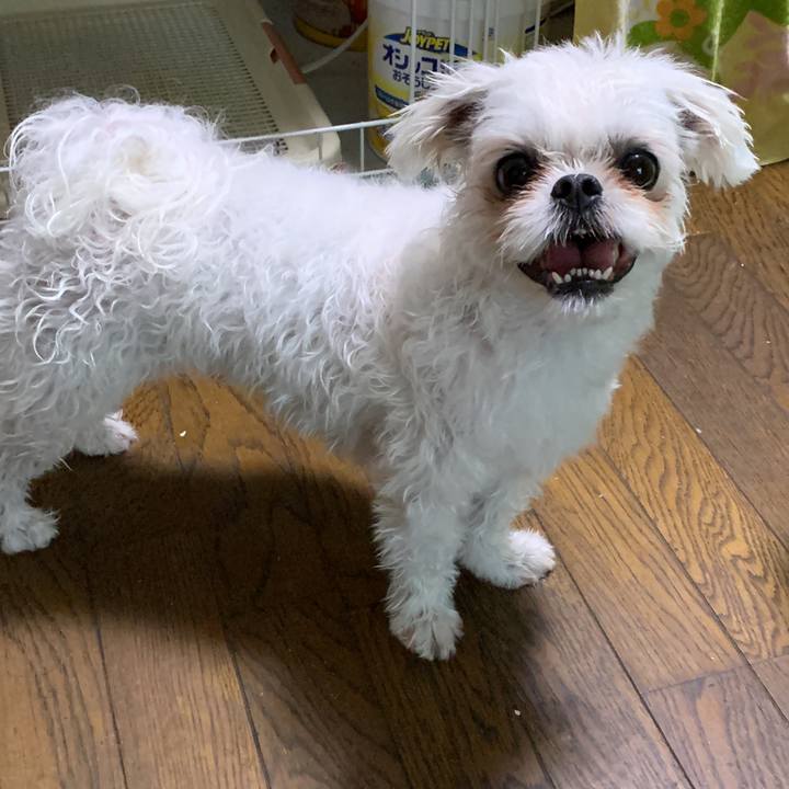 8d416c72 4545 4e06 a1b6 9df578cbc513 1694263323604