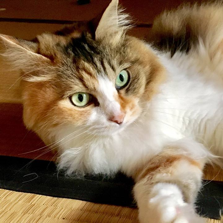 8d417d98 ea34 4ff0 9cb5 6430b20c345c 1561344773290