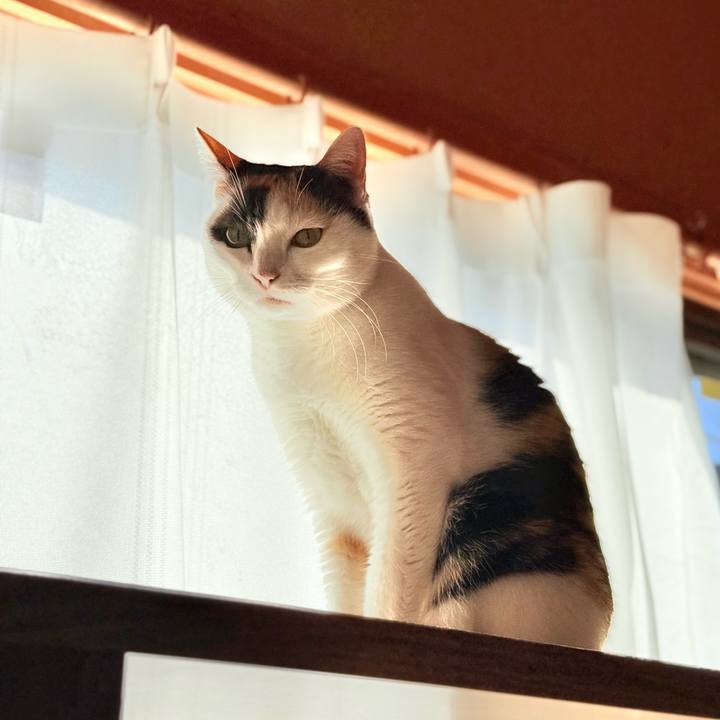 8d41c02f f91d 4879 8885 4aa41d1803bd 1733623287786