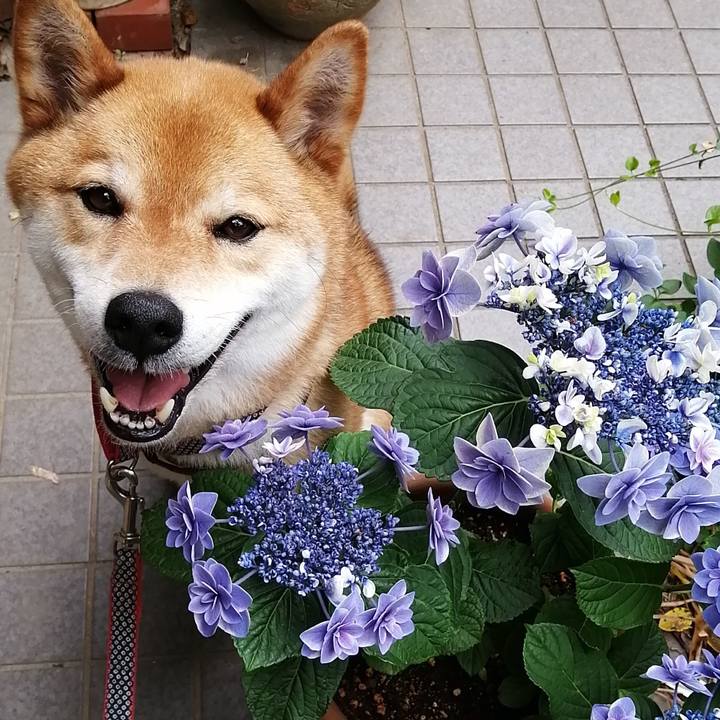 8d41d0a9 d046 4040 a5c2 4281dc7f4d5b 1591234261648