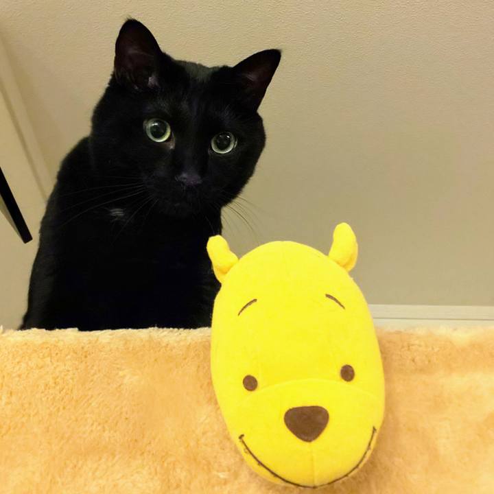 8d421352 787d 4dc3 b5b7 348500d3a14b 1721308606178