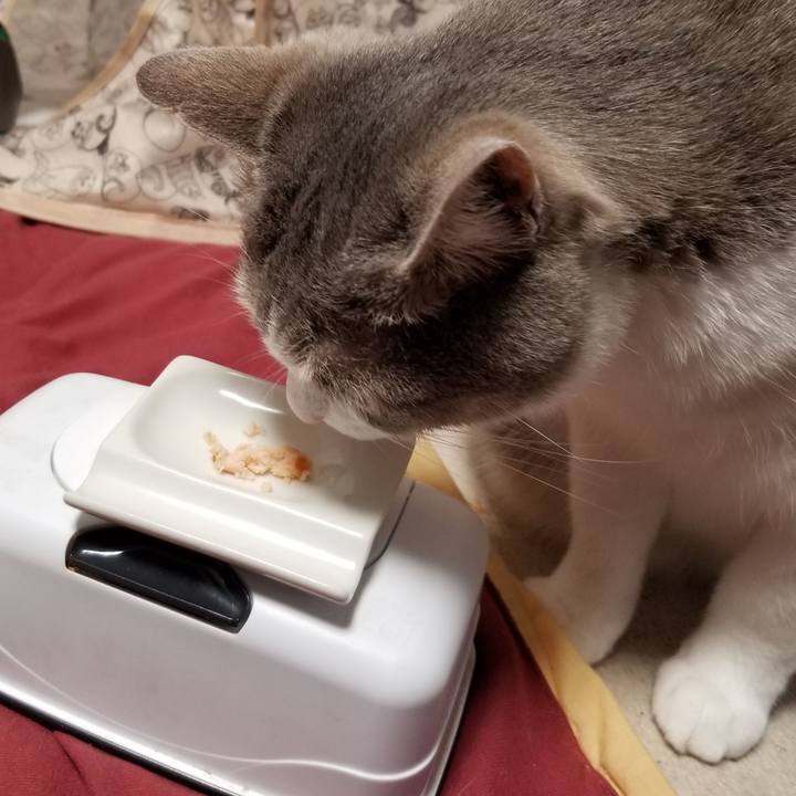 8d424105 6aff 4be8 bf62 270e1e01e093 1651846986478