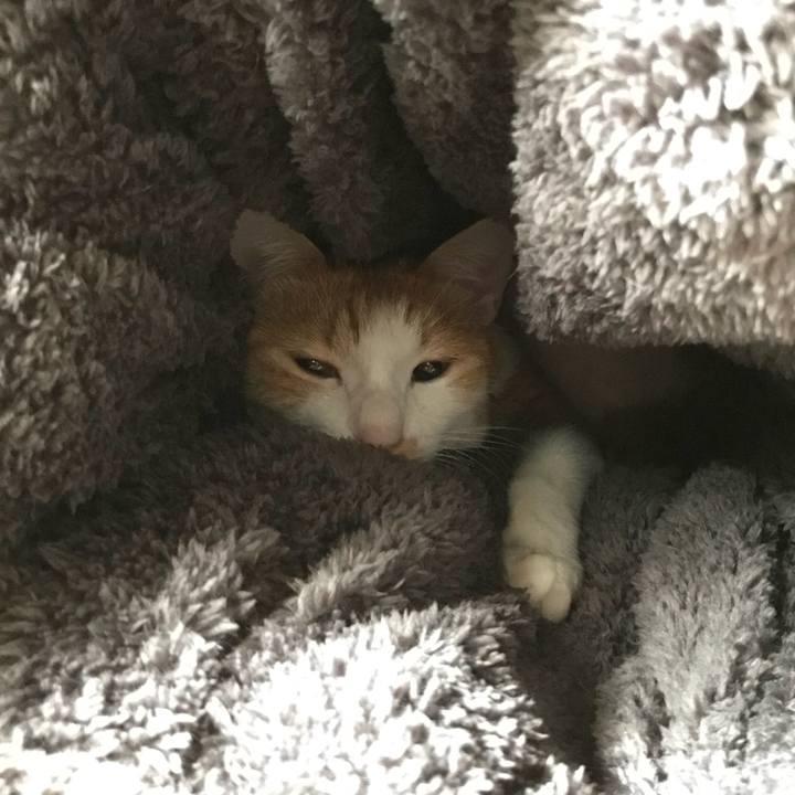 8d424a29 52bc 40d1 9113 a993d03ccc13 1508675087094