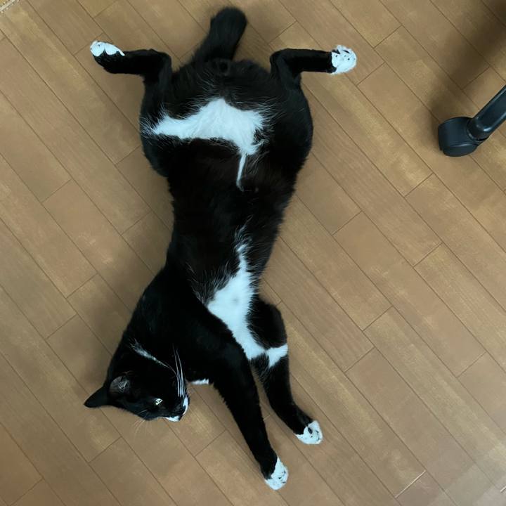 8d42508b b46c 4c8d 9913 06c69f7aee66 1666237271625