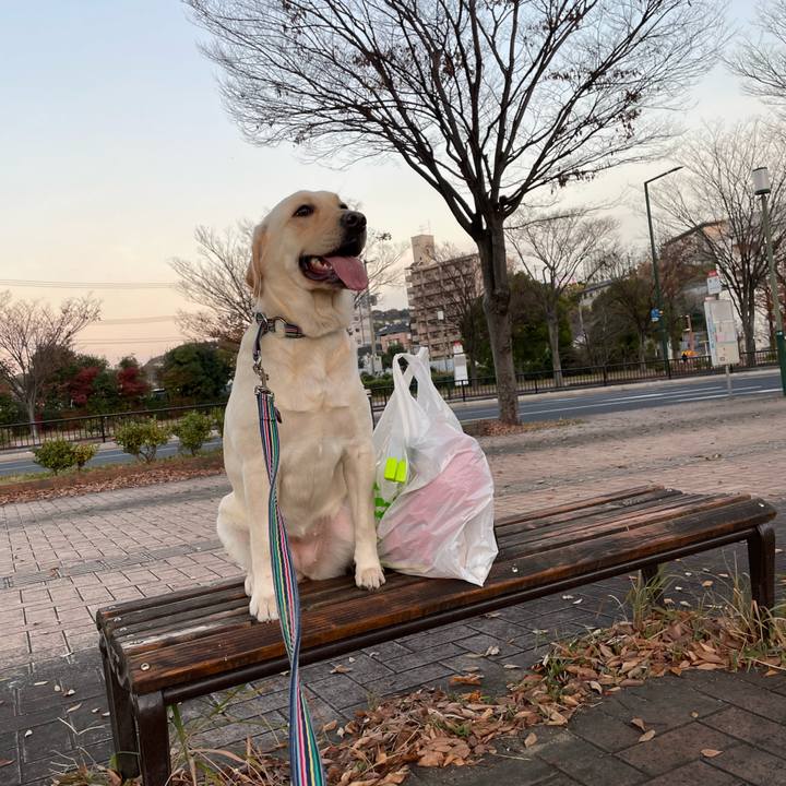 8d429798 5420 4e1a 865d 8bc92bc676c7 1670587168754