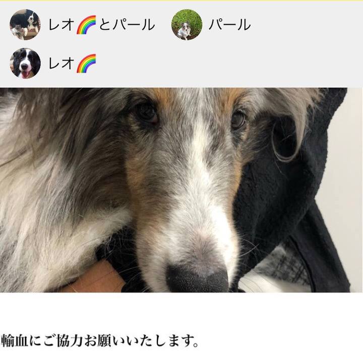 8d4297a6 8cb4 41f3 95f5 4ecdb080325b 1537747395686