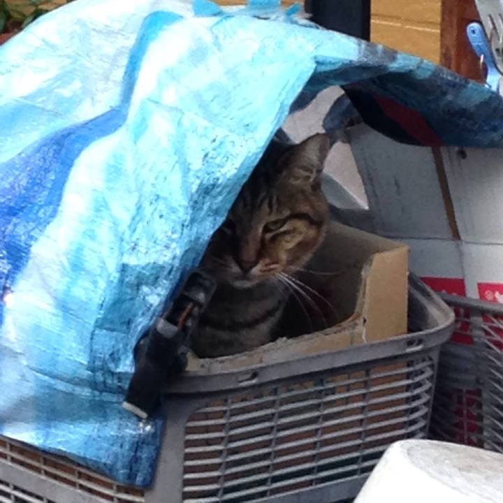 8d42b351 a786 4117 9f28 d2894f9991f3 1511167083413