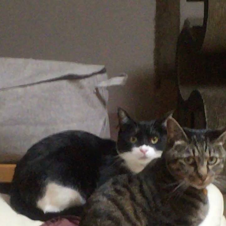 8d42b610 f15d 4de2 a13f 576df6b52548 1584236053235