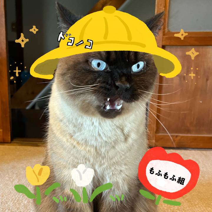 8d42ddbd 94ff 4149 8d09 7c94d4fc1a9b 1712485008331