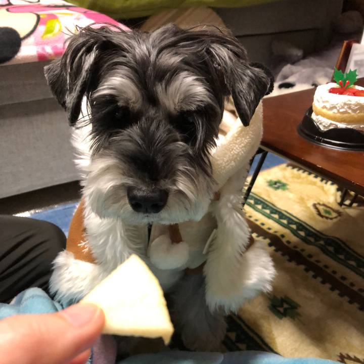 8d430f41 db80 43b6 8c2c 3aaf39acc3f0 1671894992230