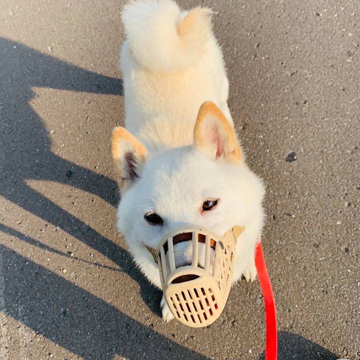 8d431b9d 4db9 4fce 80d3 80a0dd88426b 1564264478436