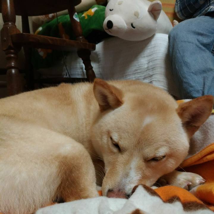 8d432fae 827e 48b2 a190 f5b3b11f7d17 1517743160967