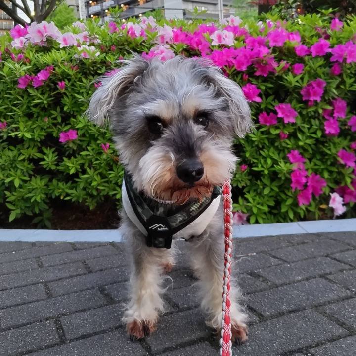 8d4343f8 8d11 4279 a0c7 5e8b3dc5d8a2 1681767736832