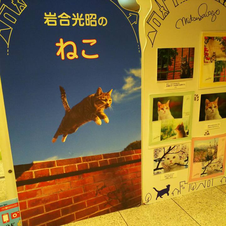 8d439e10 9da7 4251 aa5c 64bc9f7398e1 1511936673226