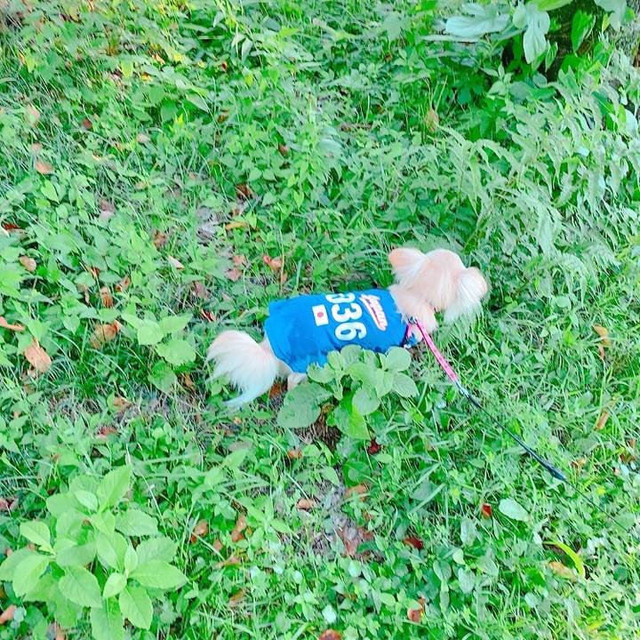 8d439ff1 3569 48ec 947c 3568d9f2215e 1626613265014