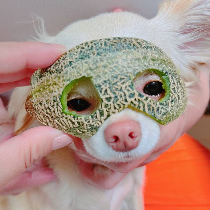 8d43b394 7a8e 46da be64 ec7e02356035 1653483321028