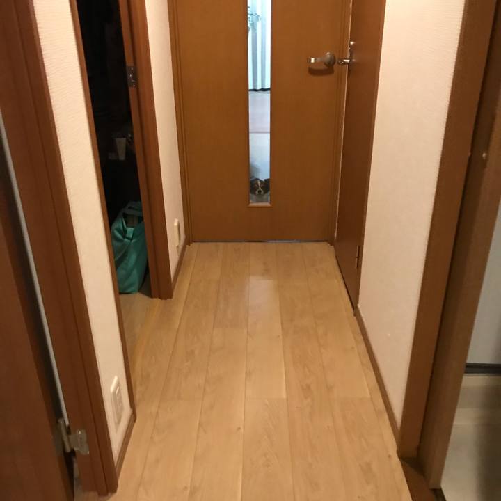 8d43c809 1c68 4aa4 b086 d117bce6cf91 1539260103098