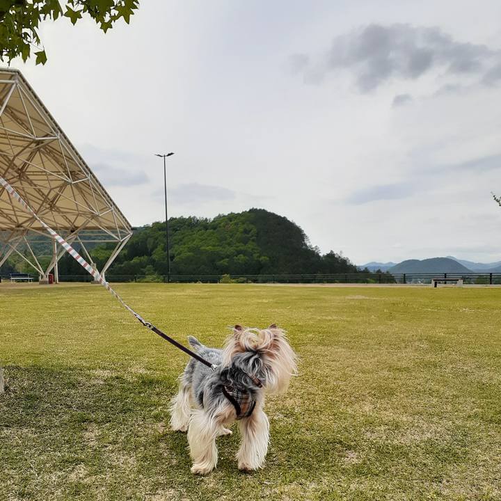 8d43e1a8 e5c6 470f 8b5d e068b3cccafc 1620721358305