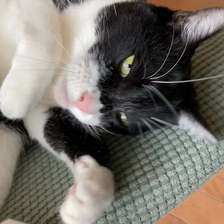 8d43eee6 db13 469c a734 e96dbe4c2e2b 1682654151053