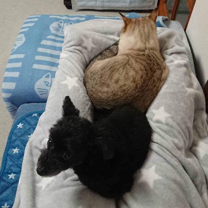 8d43f2bb 5d01 4382 9cbf 63de6047e136 1571309884011