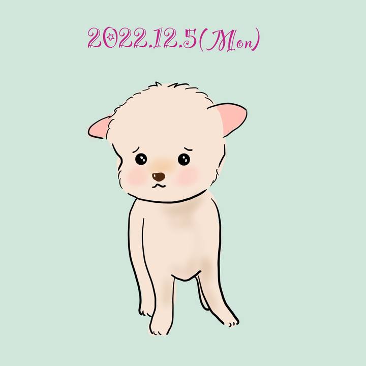 8d4407c8 d584 4e44 98d6 4f2d3d729c4f 1670247393298