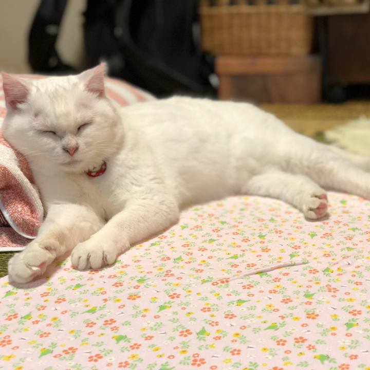 8d441a94 8128 4c35 90e5 a8d83b265e42 1541912540811