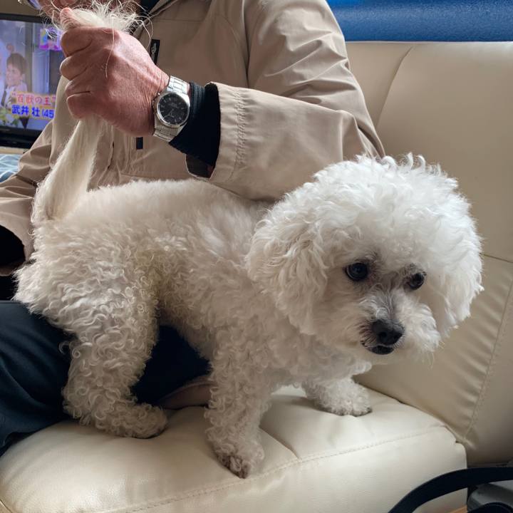 8d44399c 5592 4295 966e 637a258801db 1551583193185