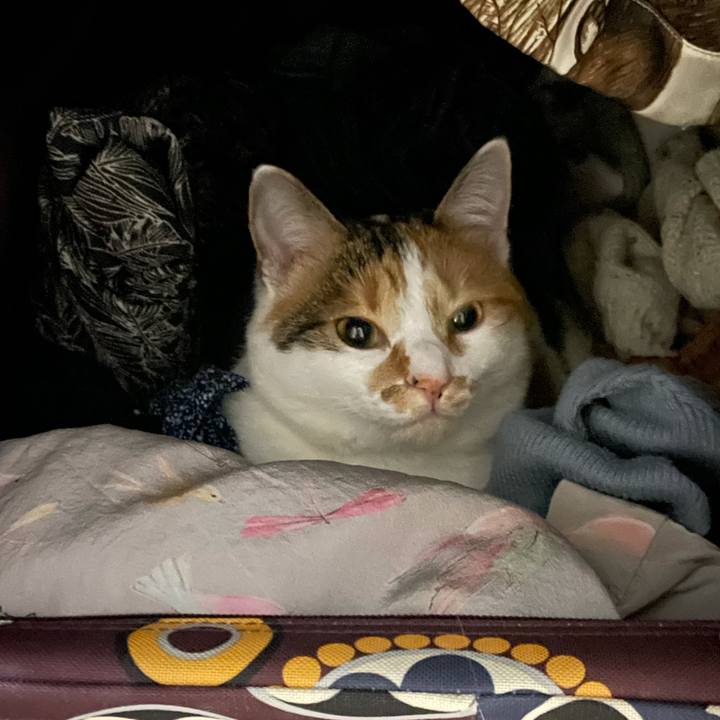 8d4450f9 053c 4c99 b1e3 5e8a016b1456 1609227066794