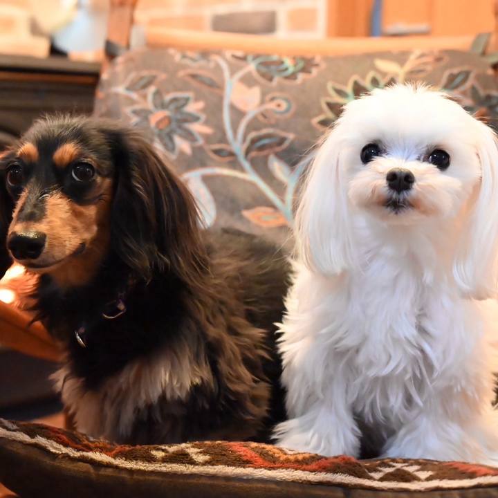 8d447f0a 600b 4990 9a2f 33c527e7669b 1707349013743