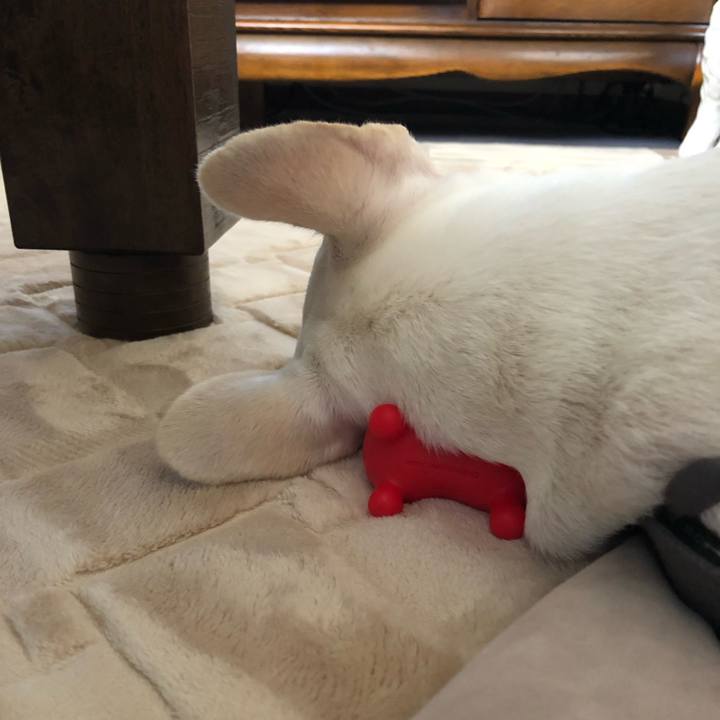 8d44a637 3687 43c1 93cb 83f29f8e7f8b 1565528646574