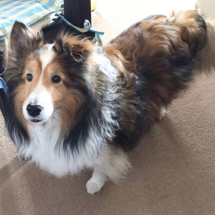 8d44be38 14d7 4b59 adb9 ab1e7cd91642 1690612615455