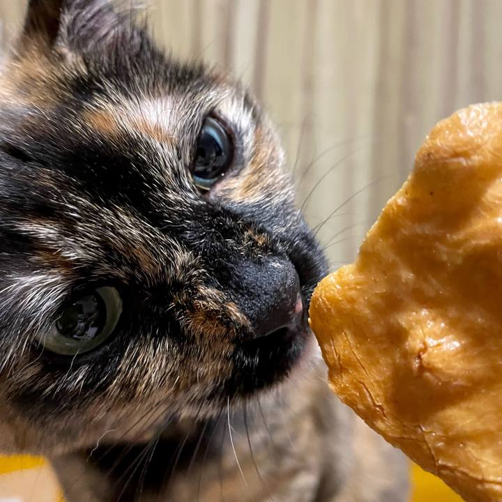 8d44dd8c d4a9 4cec bd03 94f6f1eaf58a 1687177232402