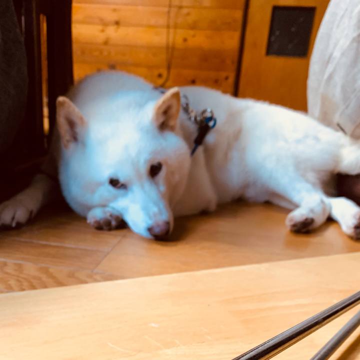 8d44ef1d 8976 481c 89f1 15efbb1c87f2 1635455571921