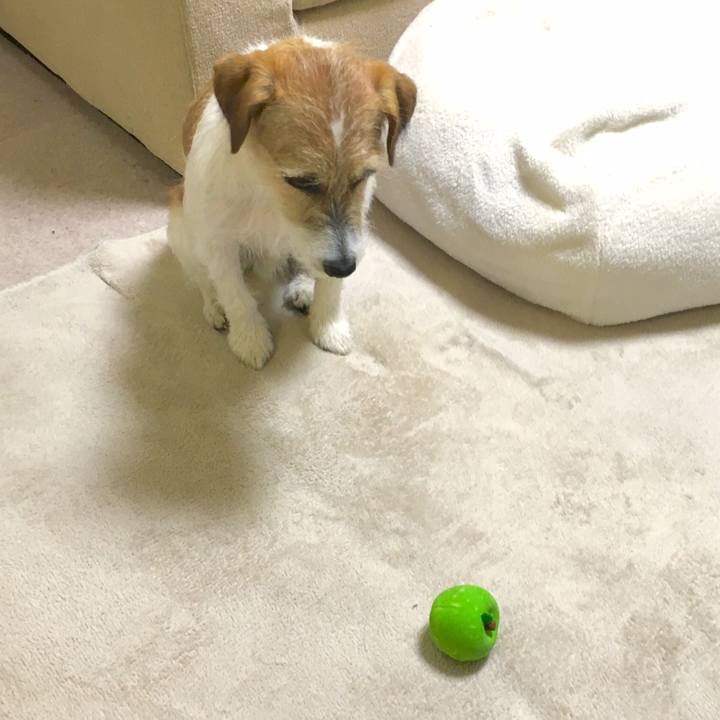 8d44f023 50ea 4fe8 8132 d90a5f951754 1543934190365