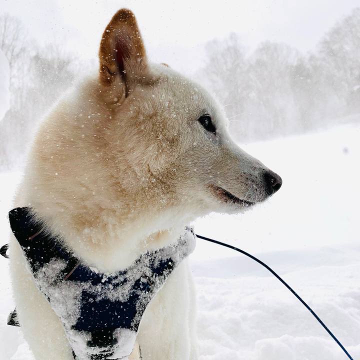 8d45051b 8186 4388 8b2f 61ae5f0c63bc 1645407892056